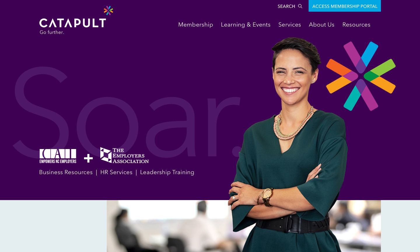 Catapult website from the Holter Strategic portfolio
