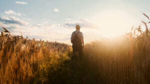 man contemplating in a field of harvest about how a good marketing strategy takes time, just like this field of wheat.
